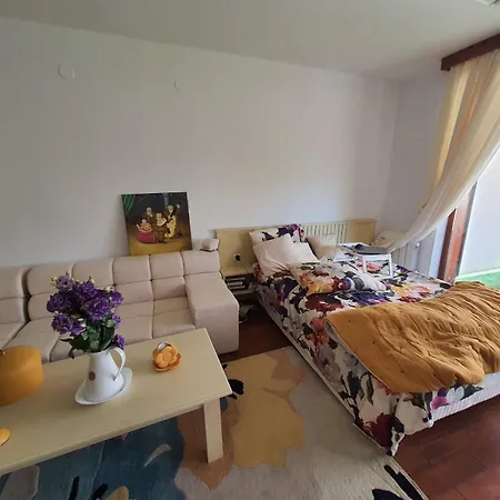 Vintage At Pirin Golf *